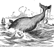 From Whaling and Fishing by Charles Nordhoff, 1895.
